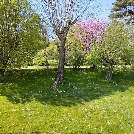 Nuitee D'opale فندق مبيت وإفطار سان مارتين بولوجن