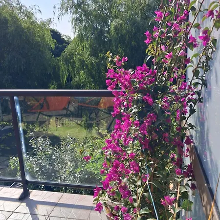 Nuitee D'opale سان مارتين بولوجن