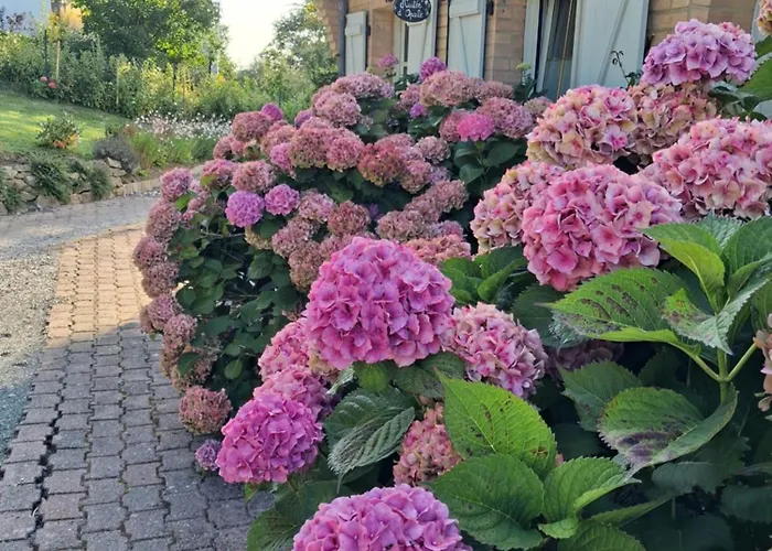 Nuitee D'opale 4* Saint-Martin-Boulogne